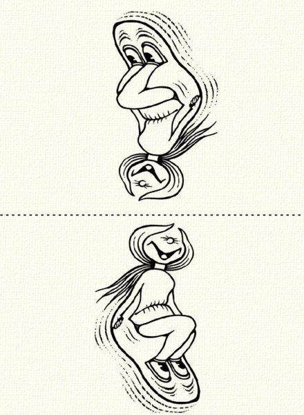 Иллюзии перевертыши