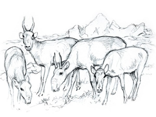 Степь гуашью