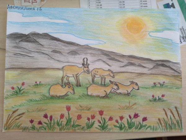 Рисунок пустыни карандашом