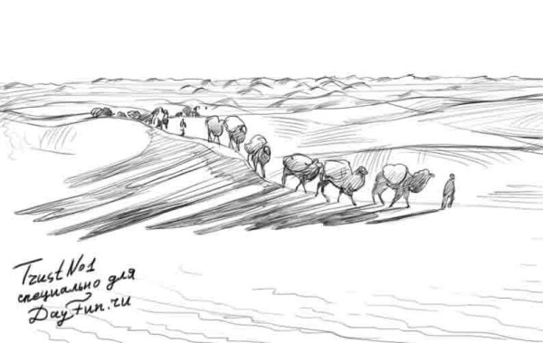 Поле карандашом