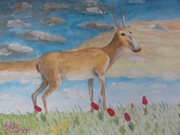 Рисунок на тему степь