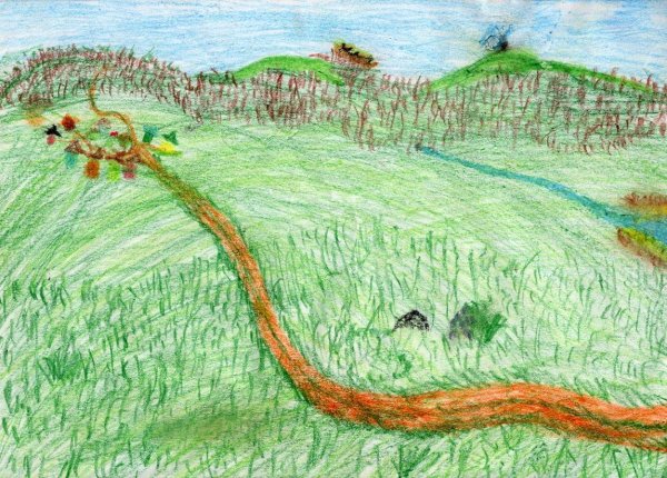 Поле карандашом