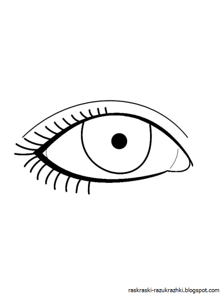 Глаза раскраска для детей