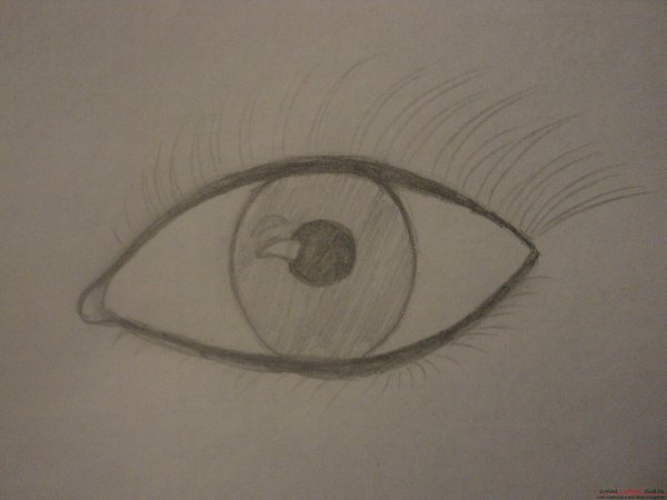 Глаза раскраска для детей