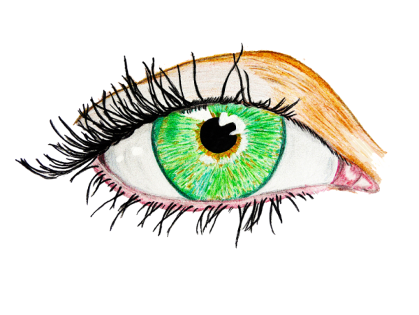 Глаза раскраска для детей