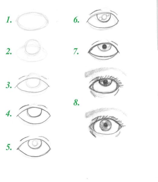 Глаз контур