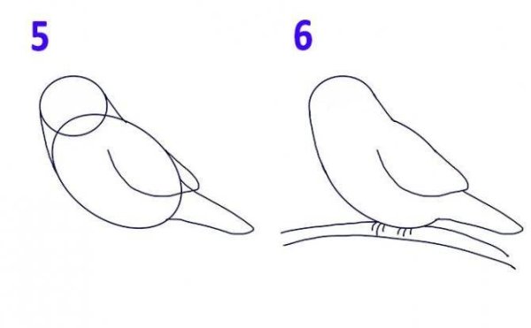 Птичка для рисования детям