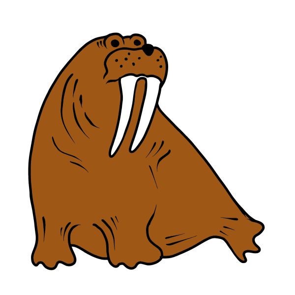 Атлантический морж раскраска