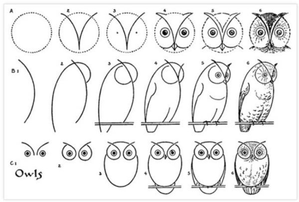 Нарисовать розу поэтапно