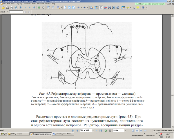 Рефлекторная дуга моносинаптического рефлекса