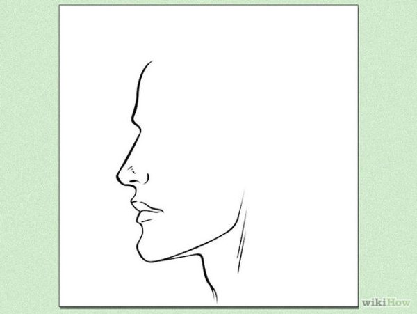 Схематичное изображение лица человека в профиль