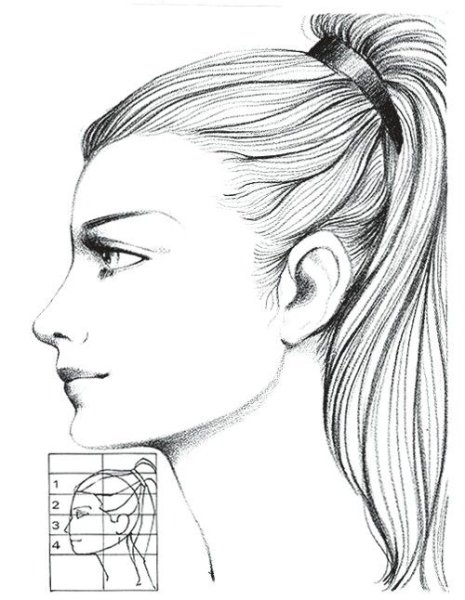 Женское лицо в профиль рисунок карандашом