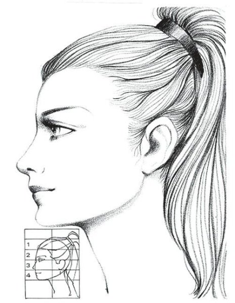 Лицо в профиль карандашом