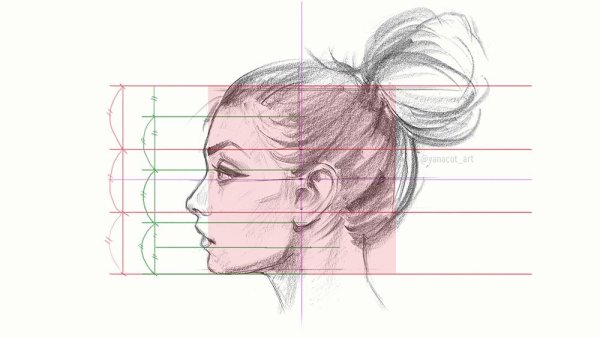 Женщина в профиль референс