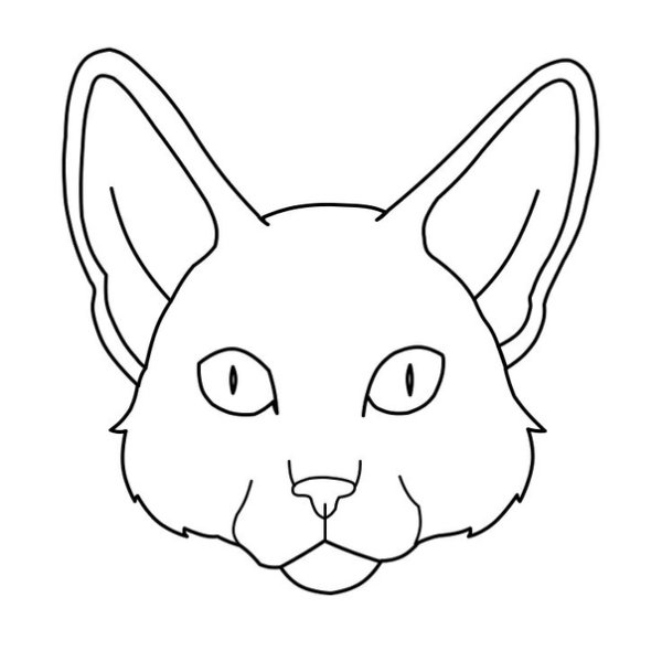 Набросок головы кошки