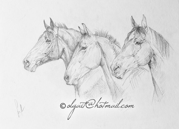 Тройка лошадей эскиз