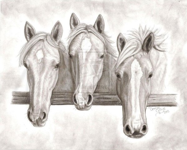 Тройка коней раскраска