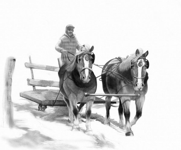 Лошади Наброски тройка