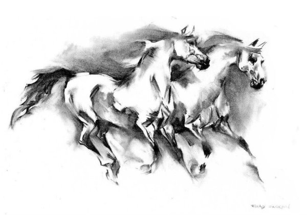 Лошадь с санями рисунок