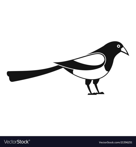 Сорока картинка для детей