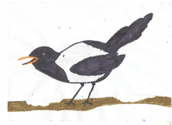 Синичка раскраска для детей