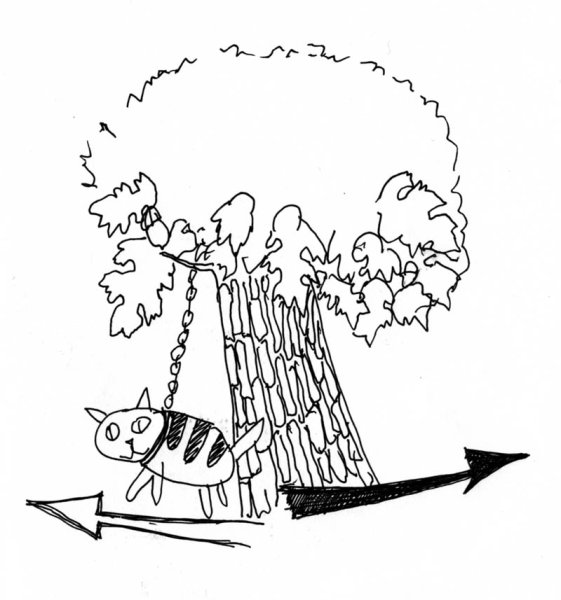 Сказки Пушкина Лукоморье