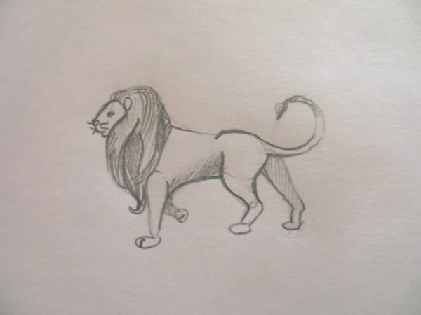 Лев и собачка толстой разукрашка