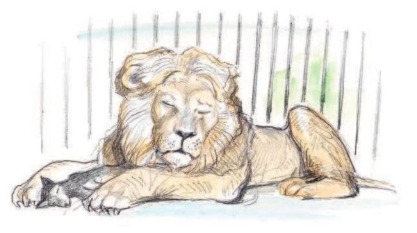 3. Л.Н. толстой «Лев и собачка»,