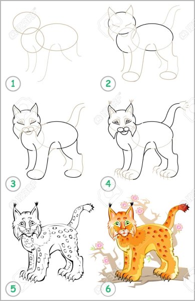 Нарисовать Рысь