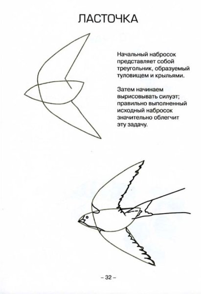 Рисование Ласточка