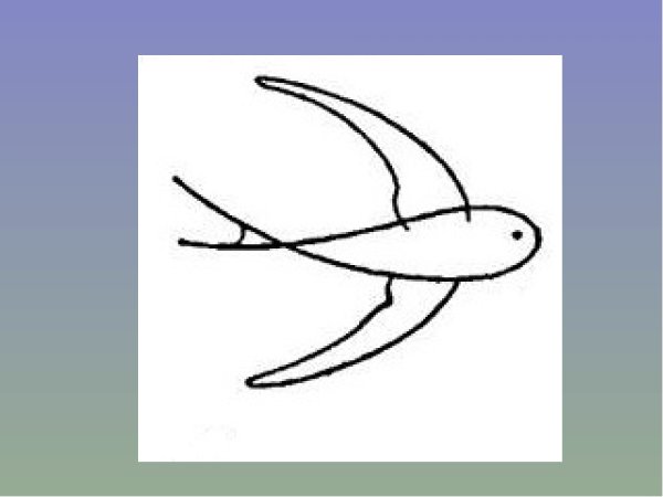 Ласточка пошаговое рисование для детей