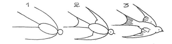 Рисование Перелетная птица пошагово