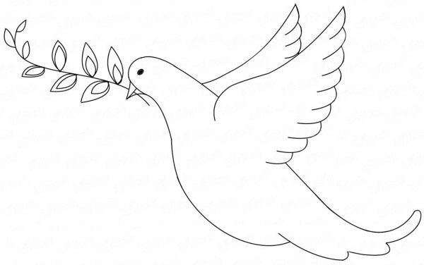 Поэтапное рисование голубя