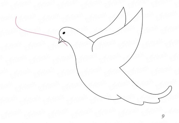 Нарисовать голубя карандашом