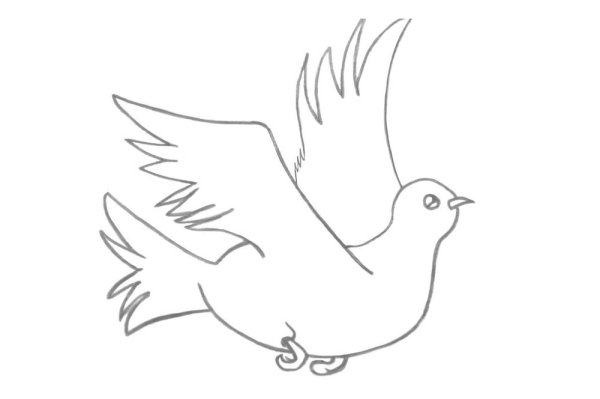 Поэтапное рисование голубя мира