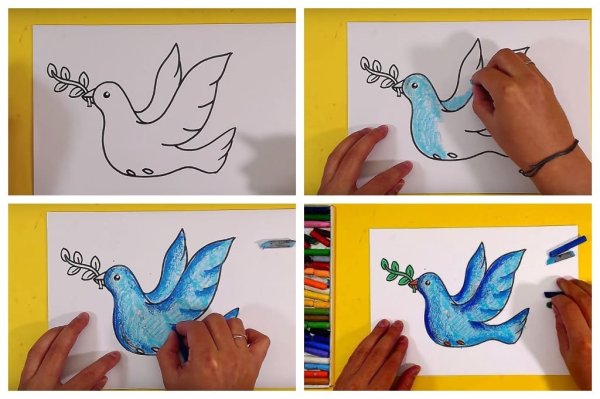 Поэтапный рисунок голубя