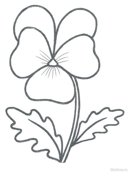 Трафарет для аппликации из ткани цветы