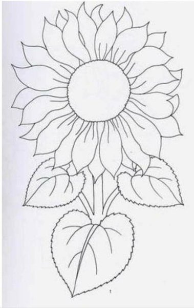 Фиалка раскраска