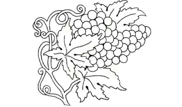 Орнамент для выжигания