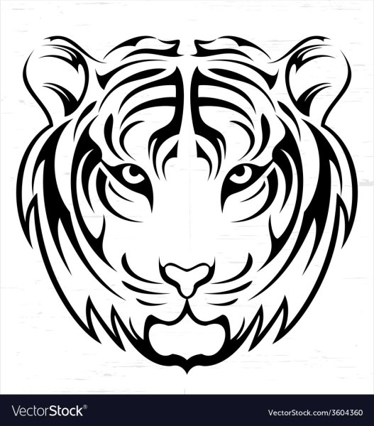 Морда тигра для срисовки