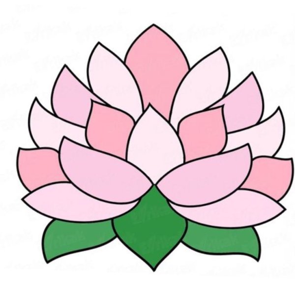 Лотос для рисования