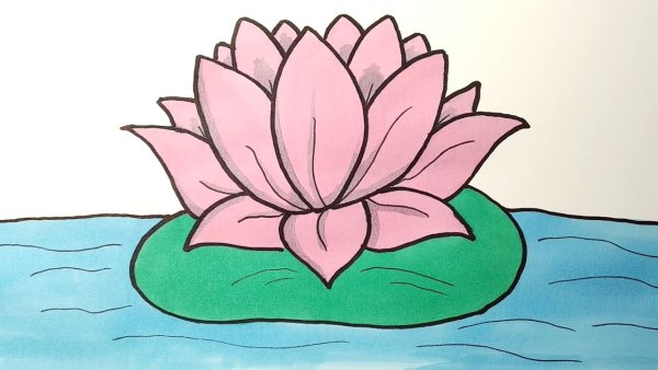 Цветы карандашом