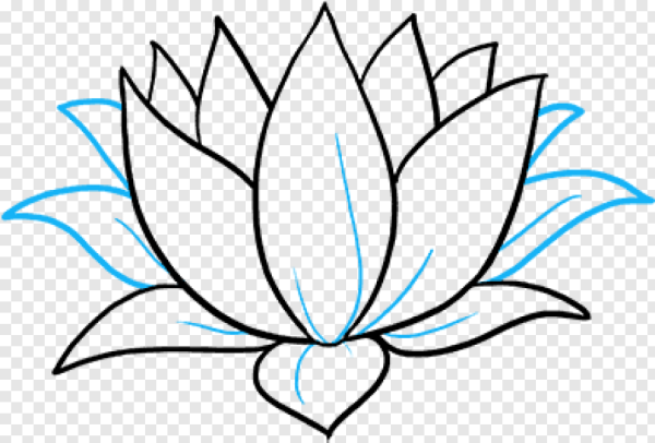 Лотос рисунок для детей