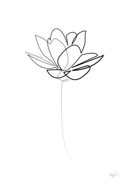 Лотос рисунок