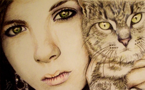 Девушка с котом рисунок карандашом