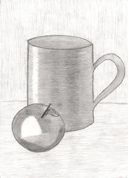 Натюрморты карандашом Юрий Кушевский