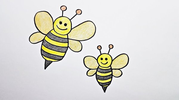 Рисование пчелки в старшей группе