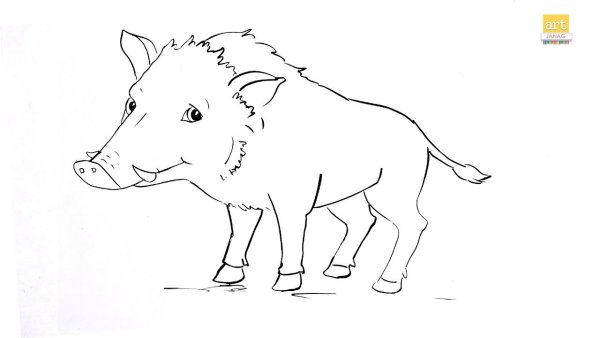 Кабан рисунок для детей карандашом