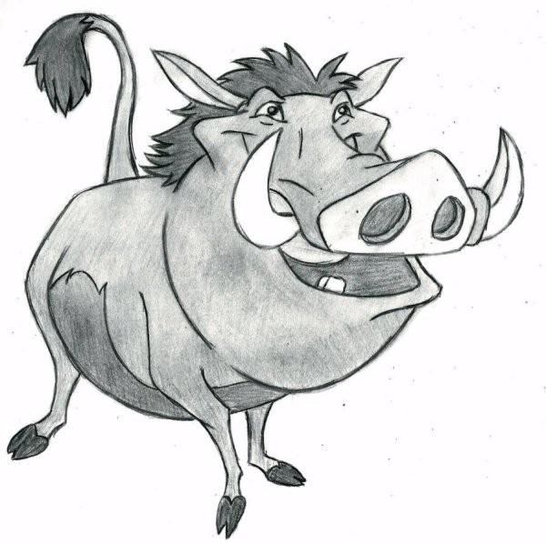 Кабан контур