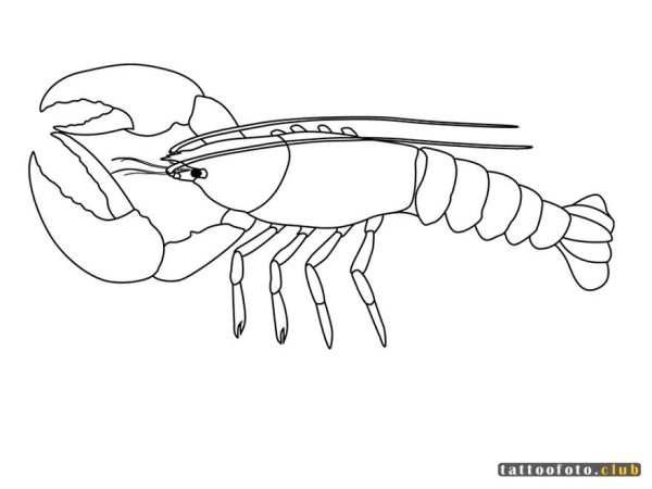 Ракообразные раскраска для детей